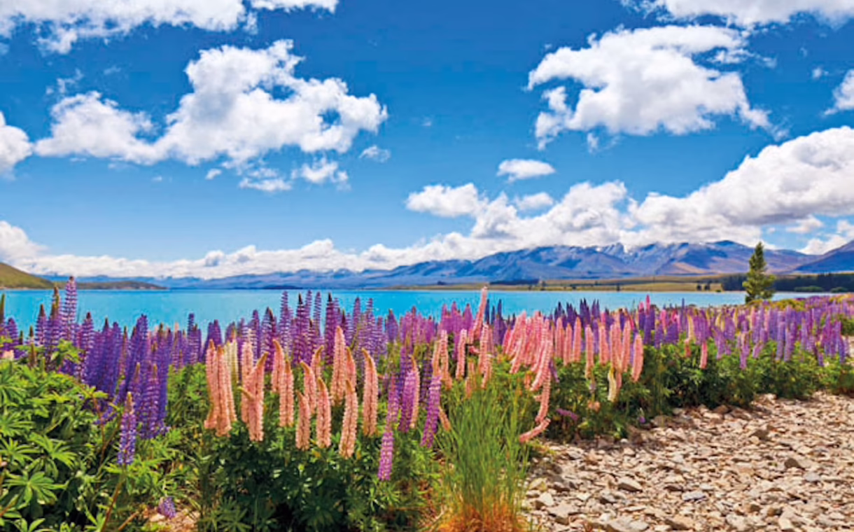 1905-christchurch-laketekapo-635