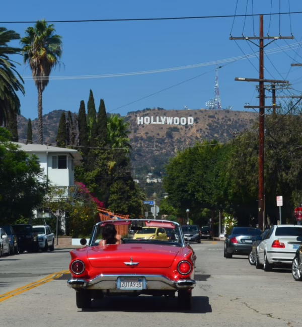 Los Angeles Insider Guide