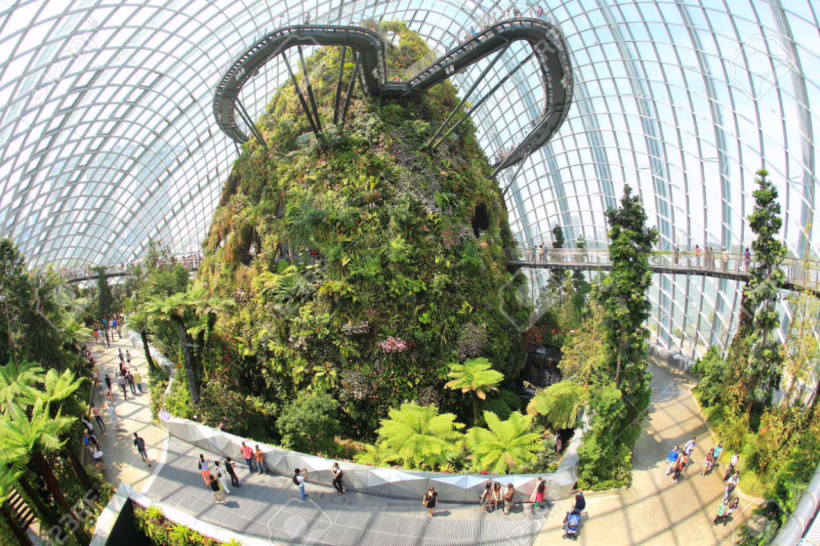 cloud forest gardens by the bay singapore