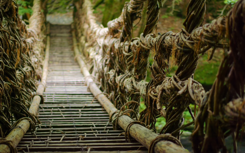 vine bridge tokushima japan kazura