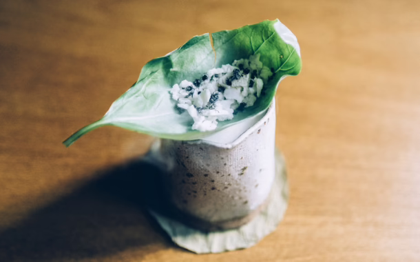 Insects as food silkwinds