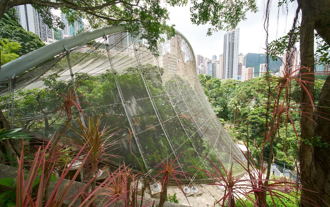 hong kong park aviary playground