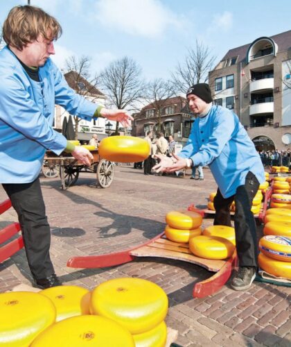 alkmaar cheese market