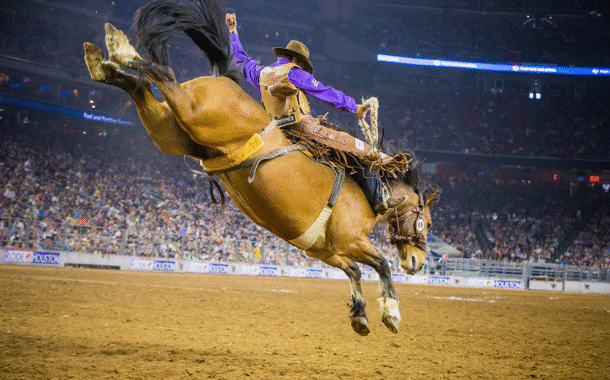 rodeo houston
