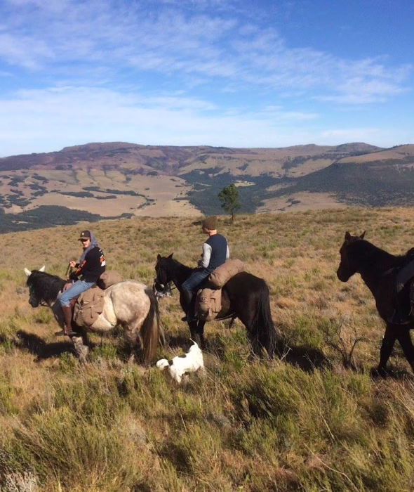 horse riding