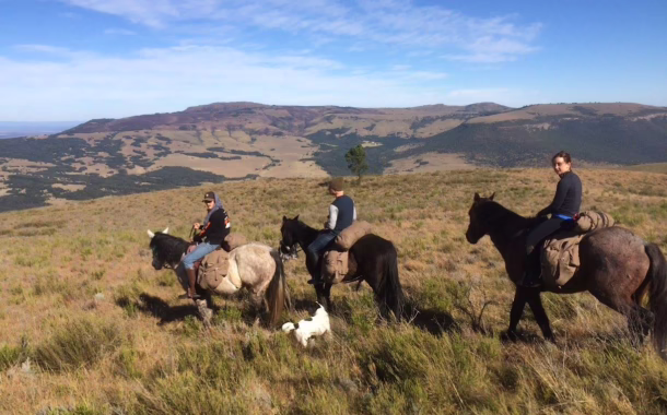 horse riding