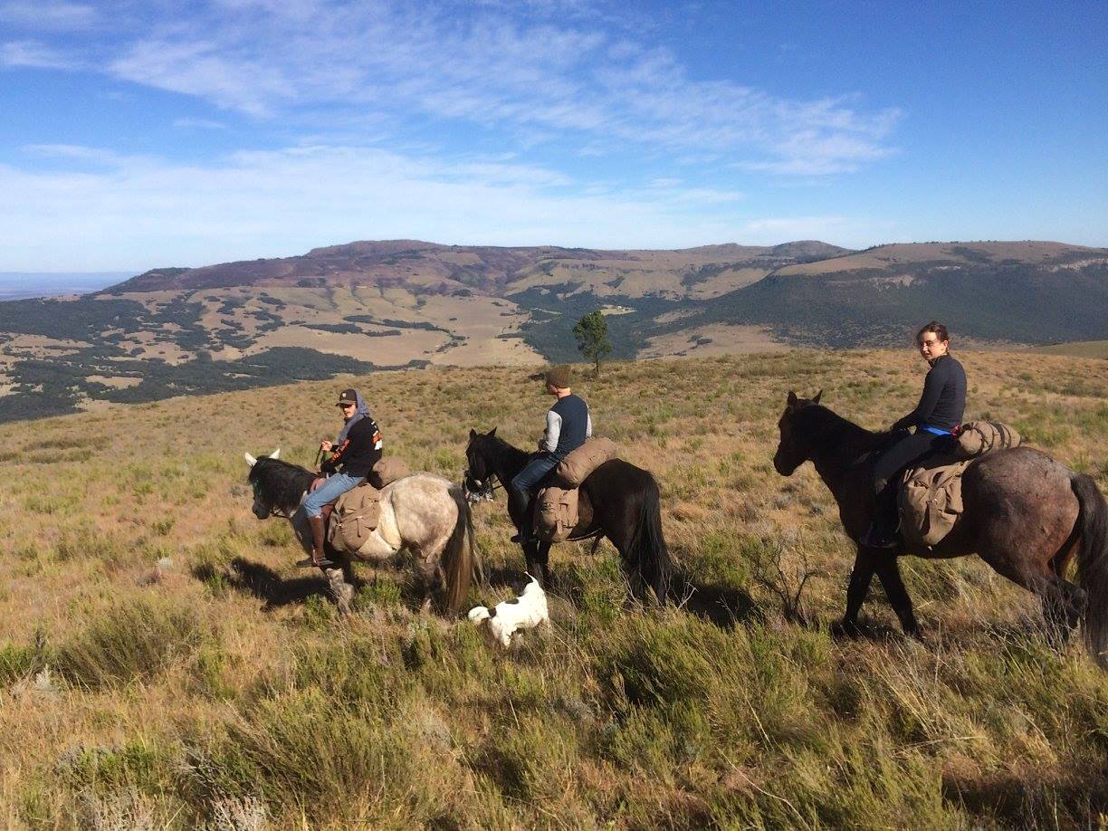 horse riding