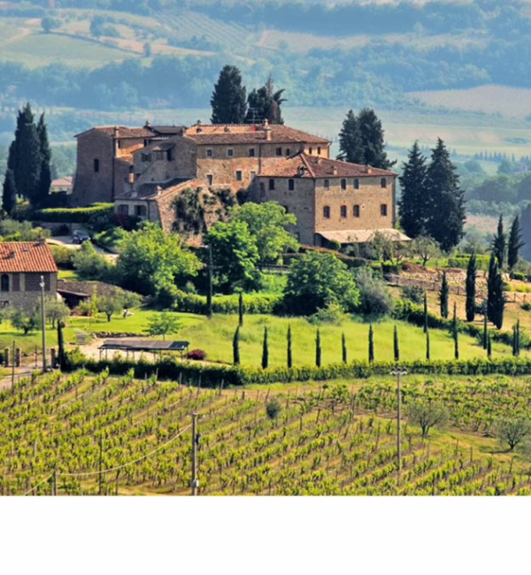 tuscany wines