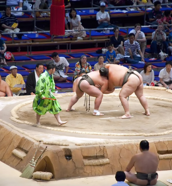 sumo guide