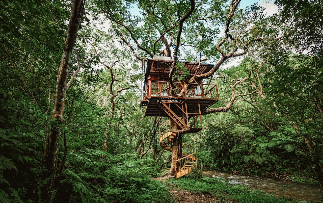 treeful okinawa_treetop hotels silverkris