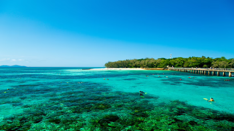 Cabin crew recs Cairns-Pic