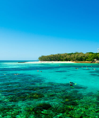 Cairns cabin crew silkwinds