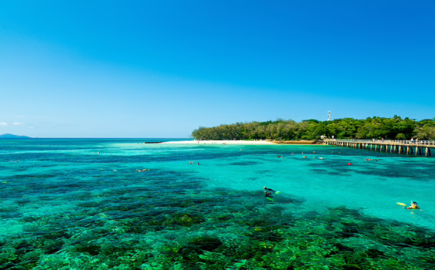 Cairns cabin crew silkwinds