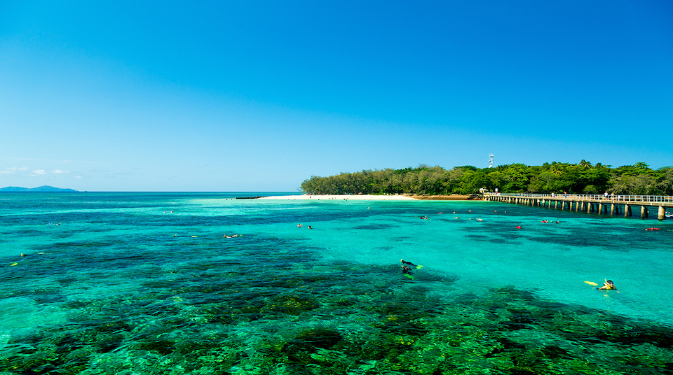 Cairns cabin crew silkwinds