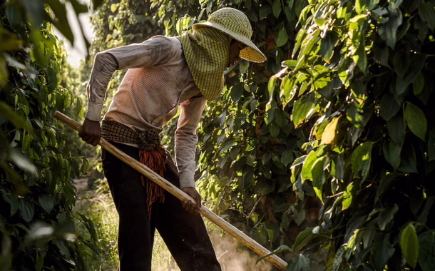 farmer kampot cambodia silkwinds highlights