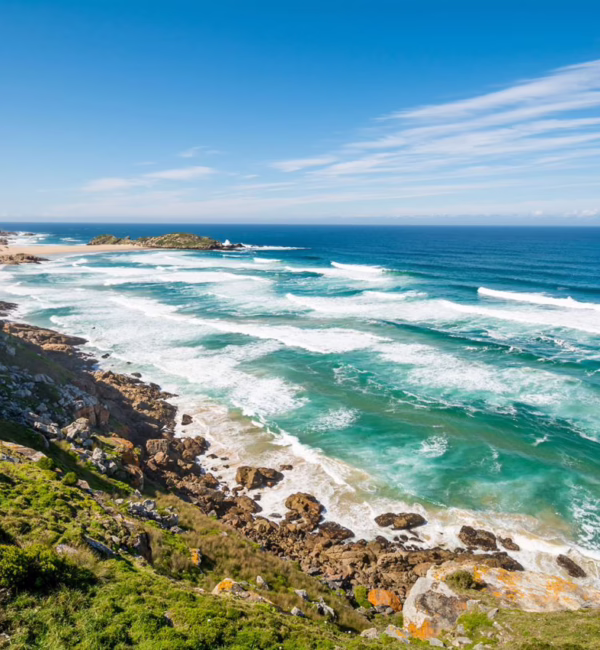 plettenberg bay
