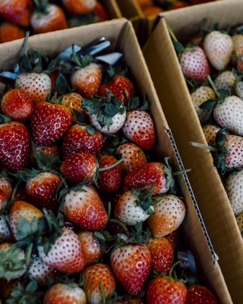 strawberries chiang mai silkwinds