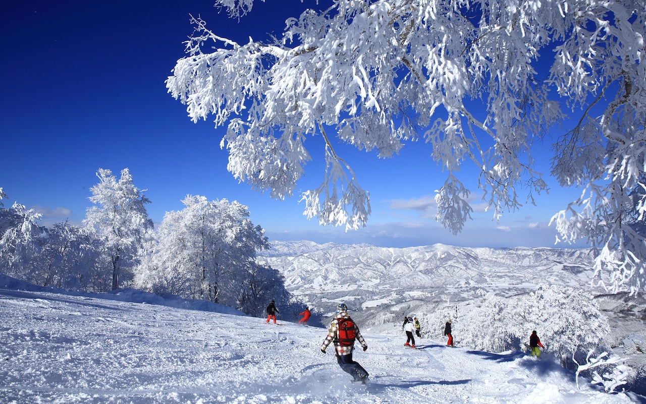 Nozawa Onsen Ski Resort Silverkris ski destinations