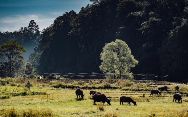 chiang-mai-featured silkwinds