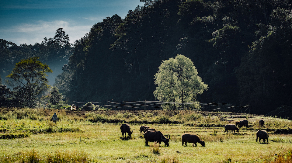 chiang-mai-featured silkwinds