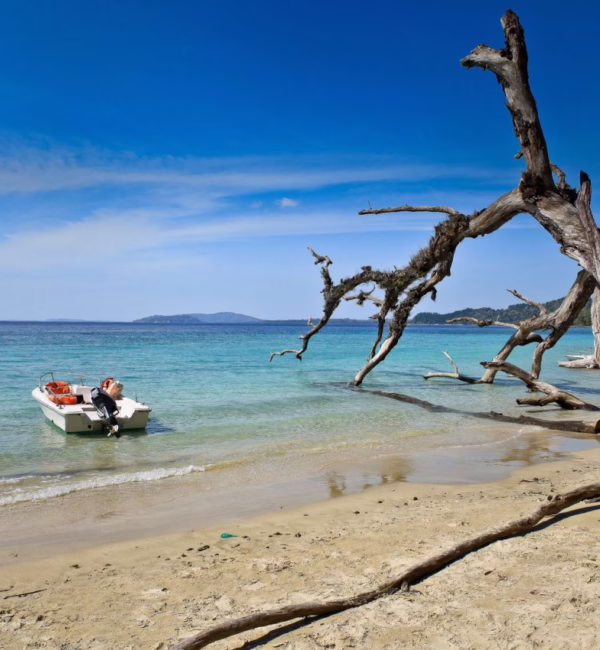 elephant beach andaman islands havelock