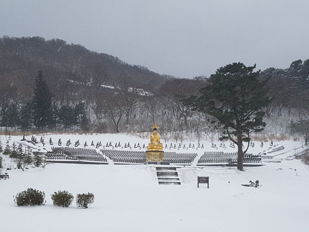 gwaneumsa temple grounds snow jeju
