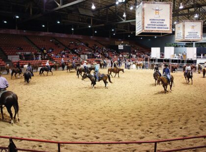 HOUSTON RODEO COMPETITION