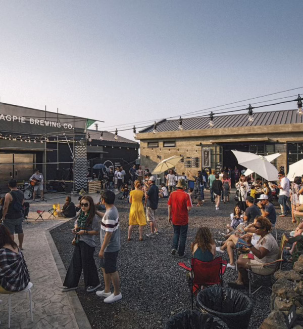 magpie brewing event jeju island