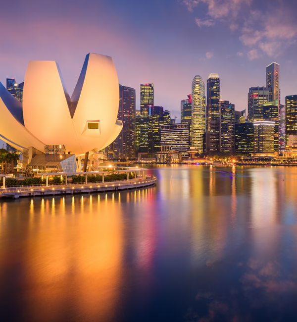 Singapore scenery night aesthetic