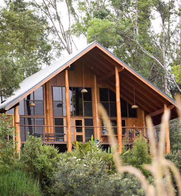 The Canopy Treehouses Cairns City Guide SilverKris