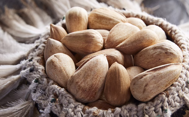 Bunya nuts are Jock Zonfrillo’s latest star ingredient