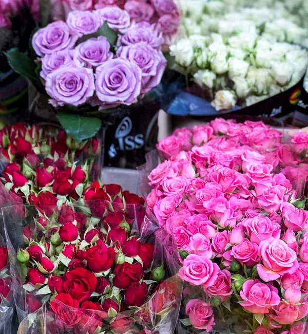 Bouquet of flowers.