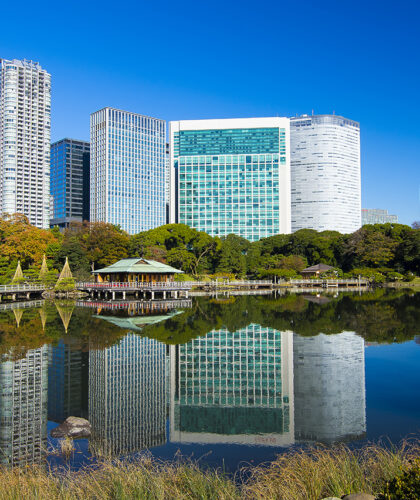 Hamarikyu Gardens city japanese