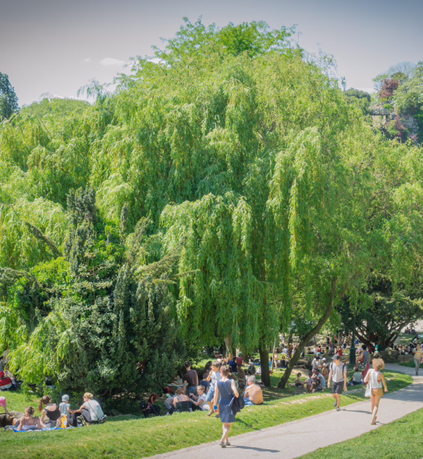 Parc des Buttes Chaumont (Photo: frlegros / Shutterstock.com)