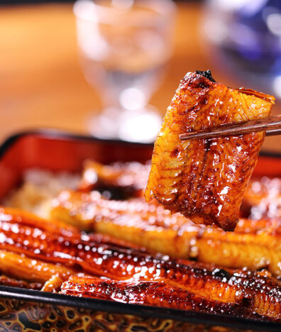 Unagi don