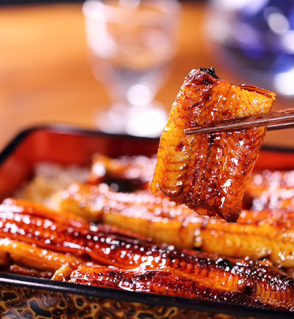 Unagi don