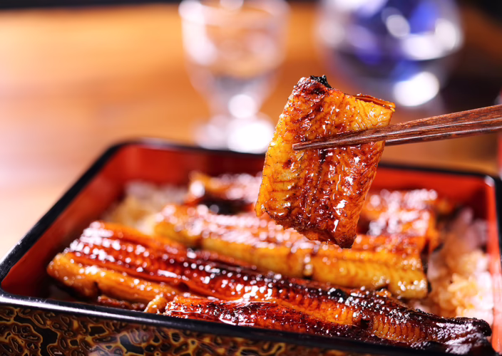 Unagi don