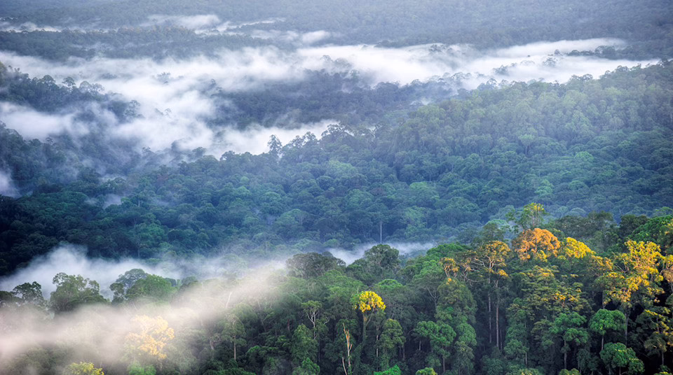 maliau-basin sabah silkwinds