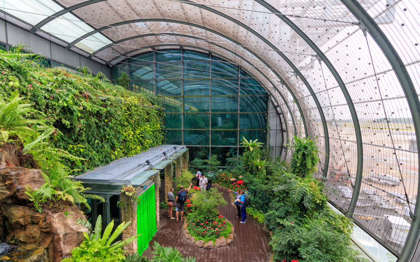 Butterfly Garden at Singapore Changi Airport (Photo: Z. Jacobs / Shutterstock.com)