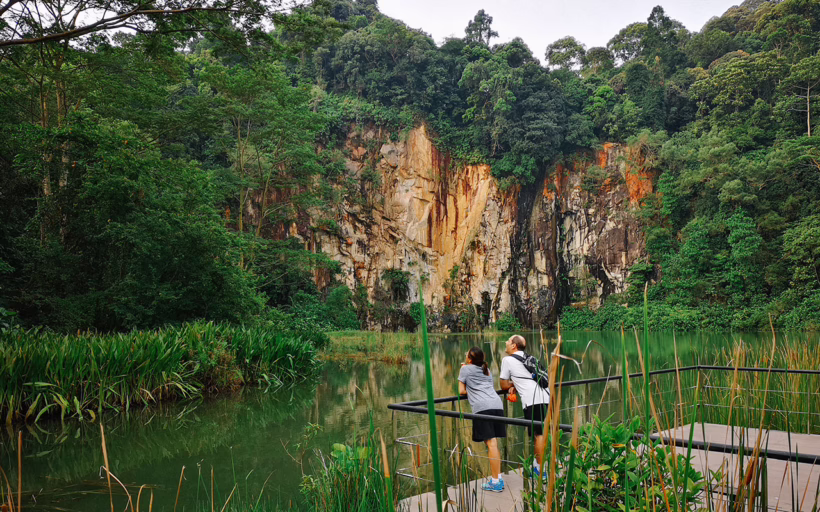 Bukit Timah Nature Reserve