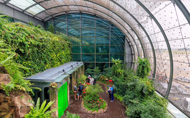 Butterfly Garden at Singapore Changi Airport (Photo: Z. Jacobs / Shutterstock.com)