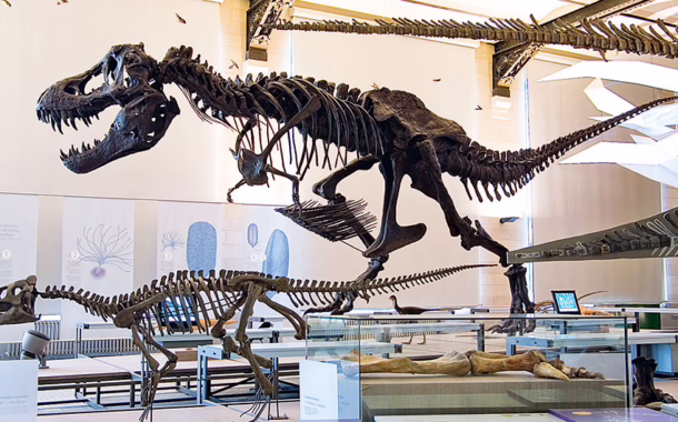Dinosaur Gallery, Royal Belgian Institute of Natural Sciences