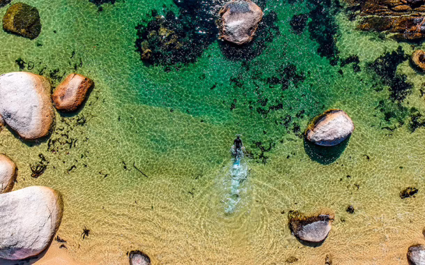 Immersing in the clear waters off Cape Town