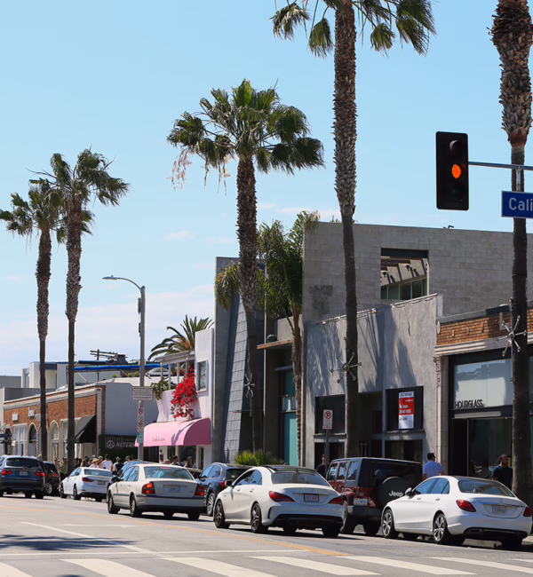 Abbott Kinney Boulevard (Photo: EarthScape ImageGraphy / Shutterstock.com)