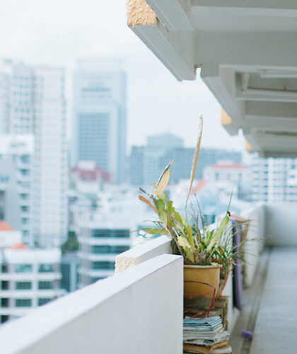 MG_8928-2