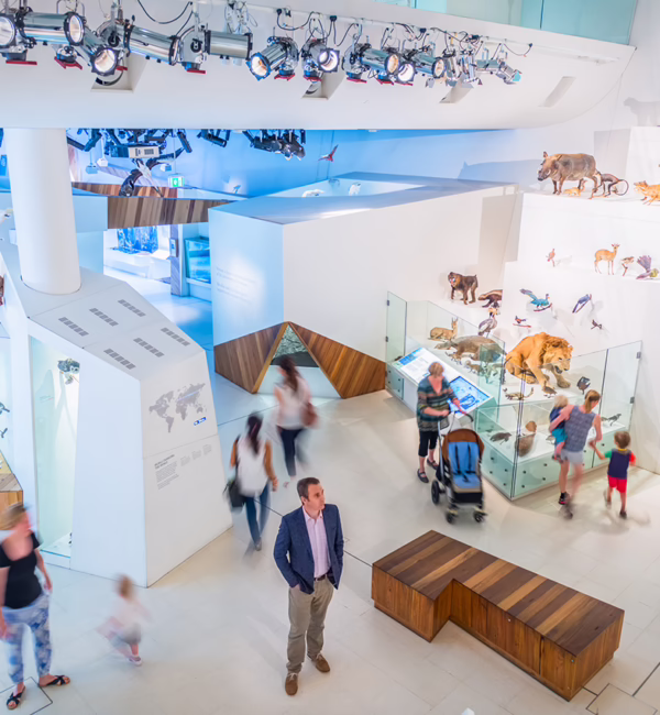 Melbourne Museum (Photo: Museums Victoria)