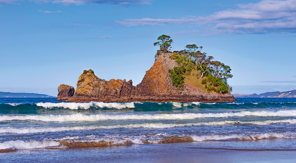 Whangapoua Beach