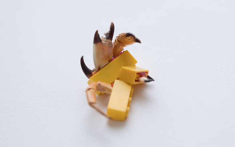 An art piece by artist David Fesl on display at Castlefield Gallery