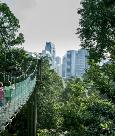 KL Forest Eco Park City Guide