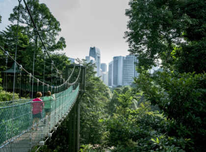 KL Forest Eco Park City Guide